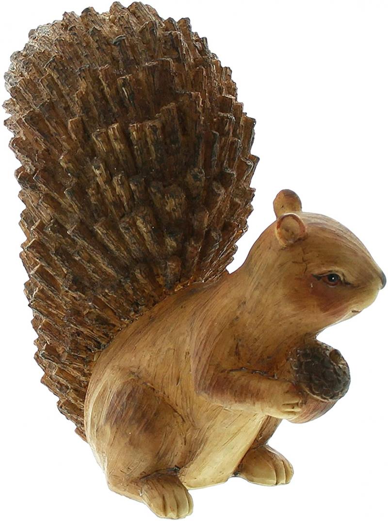 Eichhörnchen Puschel