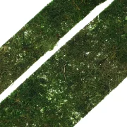 Band "Moos", 2er Set