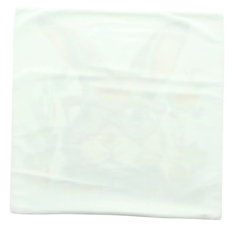 Kissenhülle "Professor Hase"