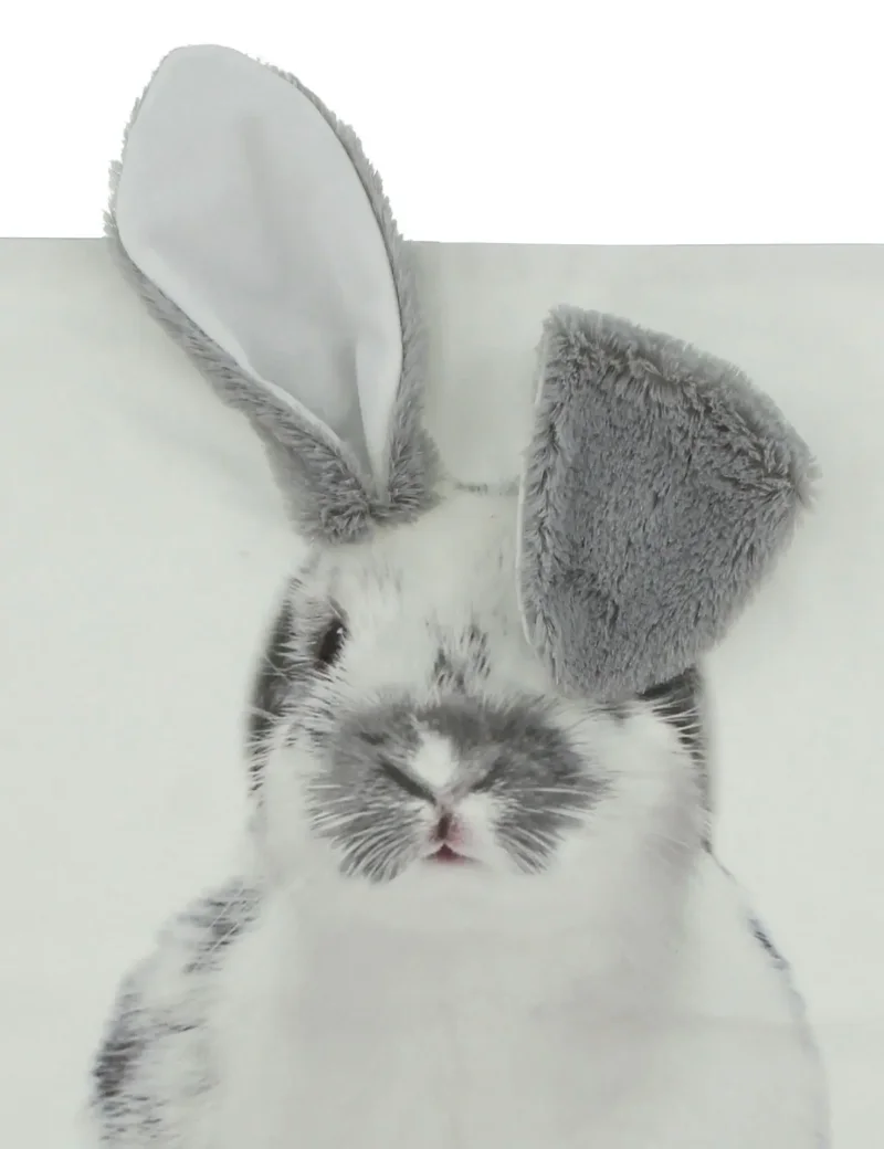 Kissenhülle "Schlappohr"