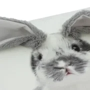 Kissenhülle "Schlappohr"