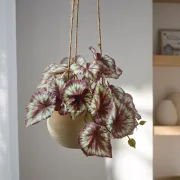 Kunstpflanze "Königsbegonie" im Hängetopf, Kunststoff, Keramik, Jute, Höhe 17 cm, Topf Ø 13 x 9 cm