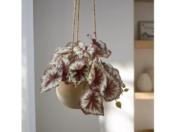 Kunstpflanze "Königsbegonie" im Hängetopf, Kunststoff, Keramik, Jute, Höhe 17 cm, Topf Ø 13 x 9 cm