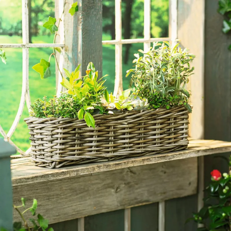 Pflanzkasten "Rattan", groß