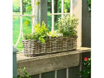 Pflanzkasten "Rattan", groß