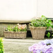 Pflanzkorb "Rattan", mittel