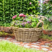 Pflanzschale "Rattan", groß