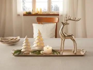 Rentier "Silberglanz"