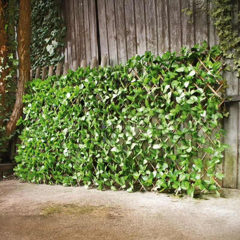 Sichtschutz "Immergrün"