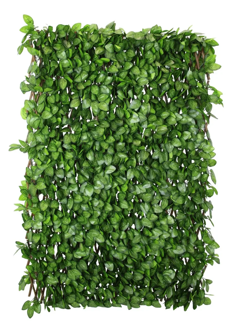 Sichtschutz "Immergrün"