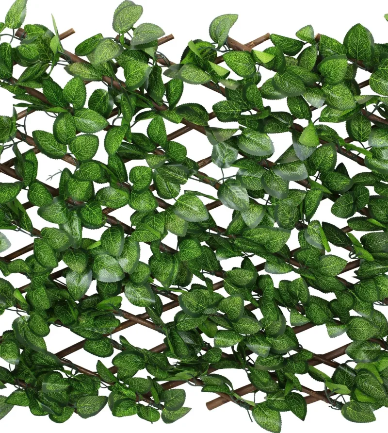 Sichtschutz "Immergrün"