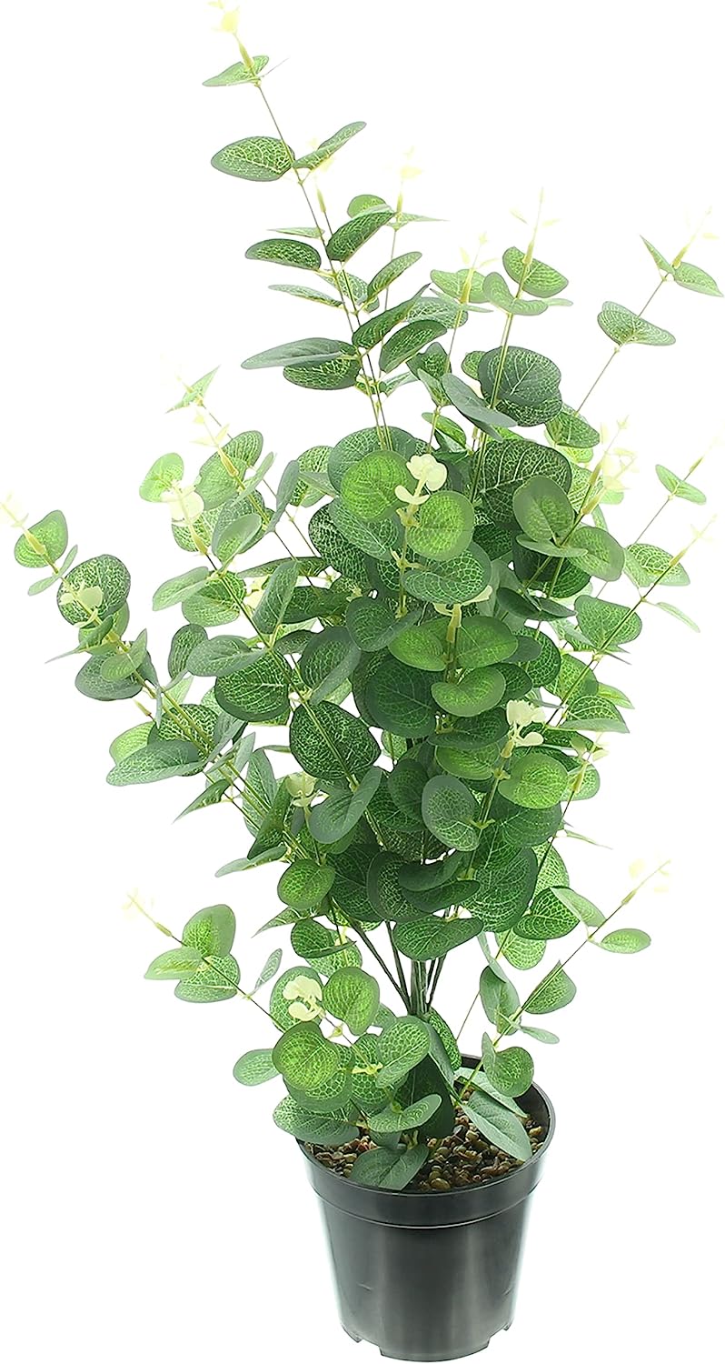 Kunstpflanze "Eukalyptus" im Topf, 65 cm hoch, Zierpflanze, Büropflanze, Topfpflanze
