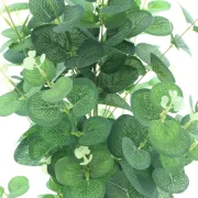 Topfpflanze "Eukalyptus"