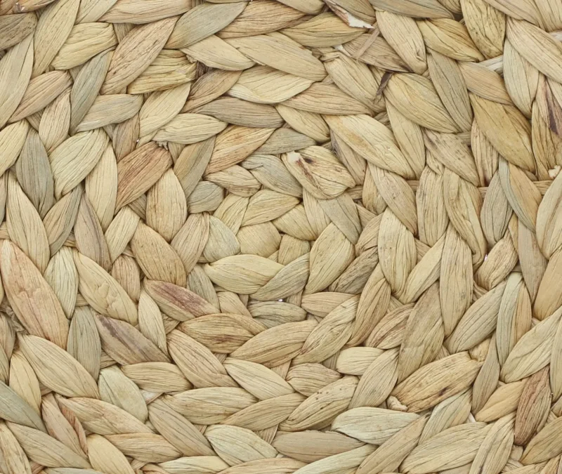 Untersetzer "Natur", 2er Set