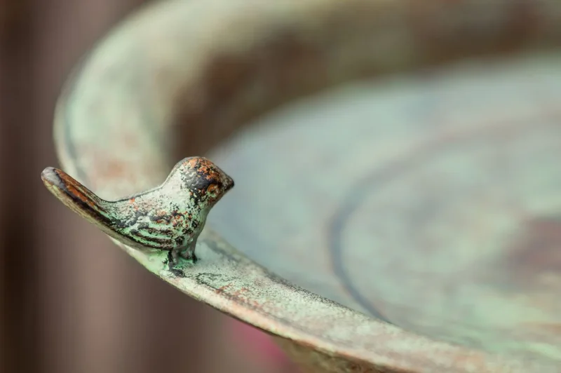 Vogeltränke "Flora" mit Ständer